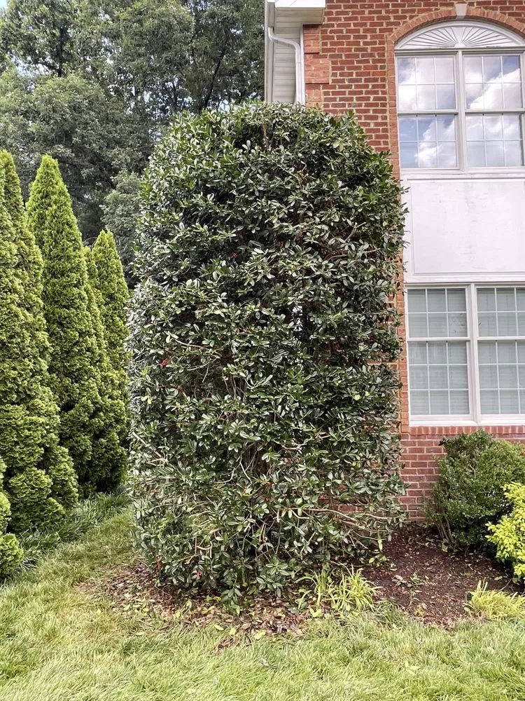 Affordable landscape installation for homes in Aylett, VA by Cross Cuts Lawn Care