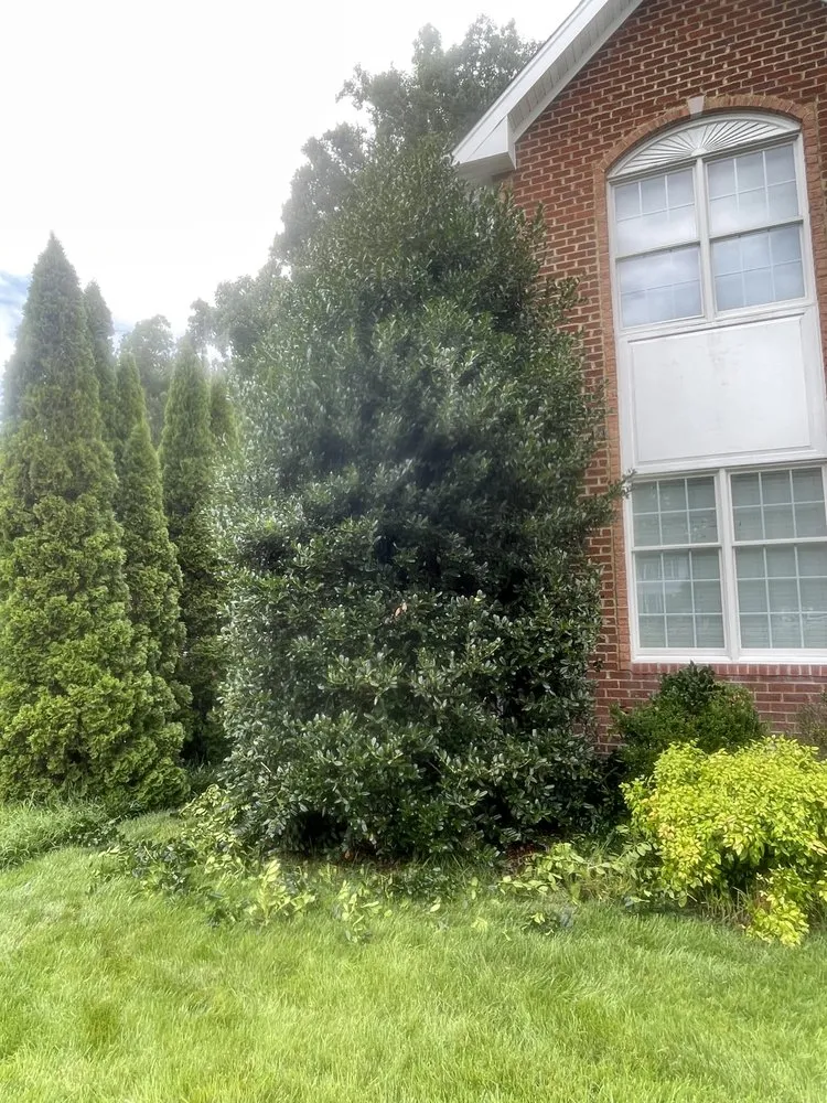 Top-rated lawn mowing service for homes across Aylett, VA - Cross Cuts Lawn Care