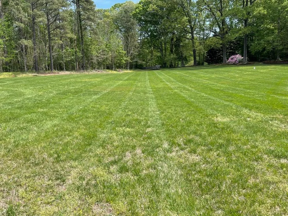 Custom lawn care service experts serving Aylett, VA - Cross Cuts Lawn Care