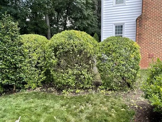 Cross Cuts Lawn Care Logo