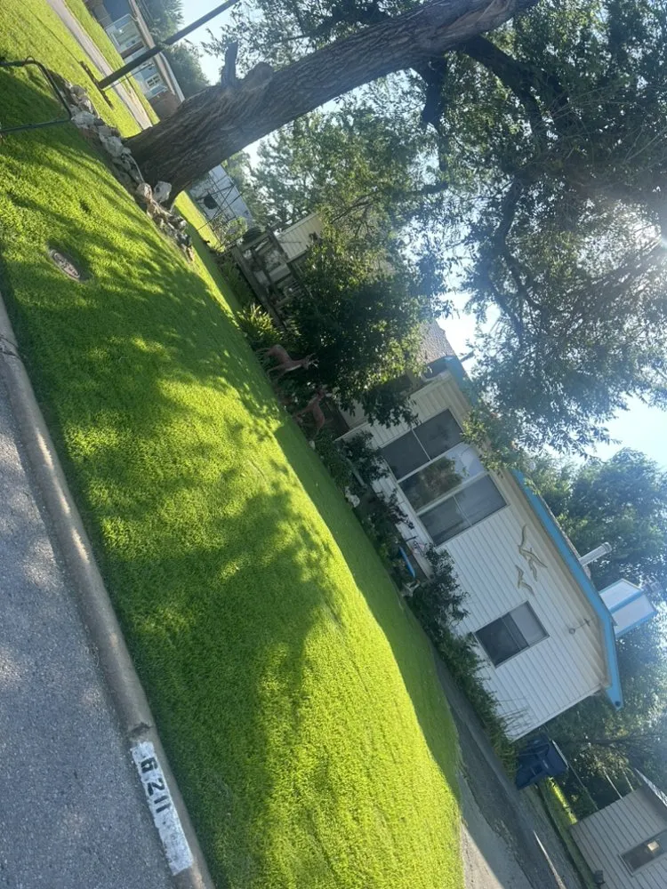 Custom yard cleanup service in Oklahoma City, OK by Cross Cuts