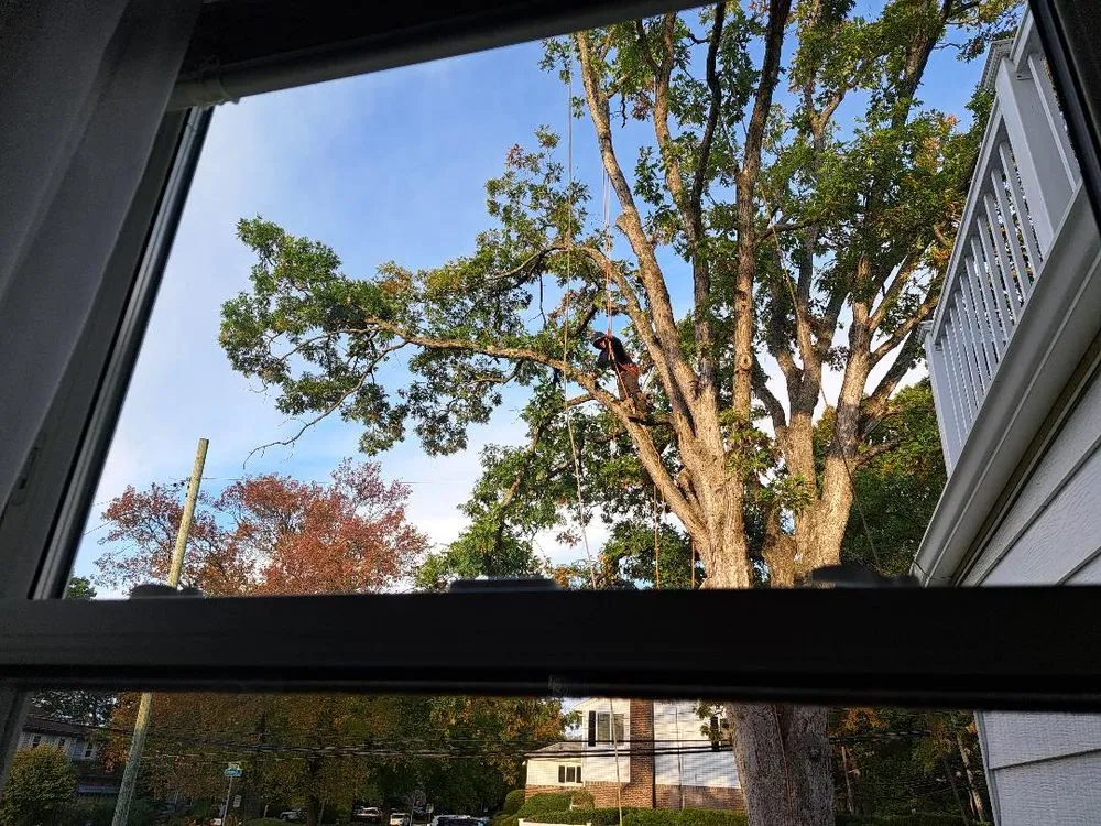 Expert garden landscaping in Freeport, NY - Cross Island Tree & Land