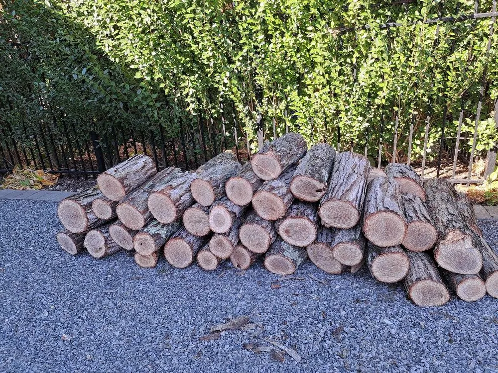 Reliable outdoor landscaping experts serving Freeport, NY - Cross Island Tree & Land