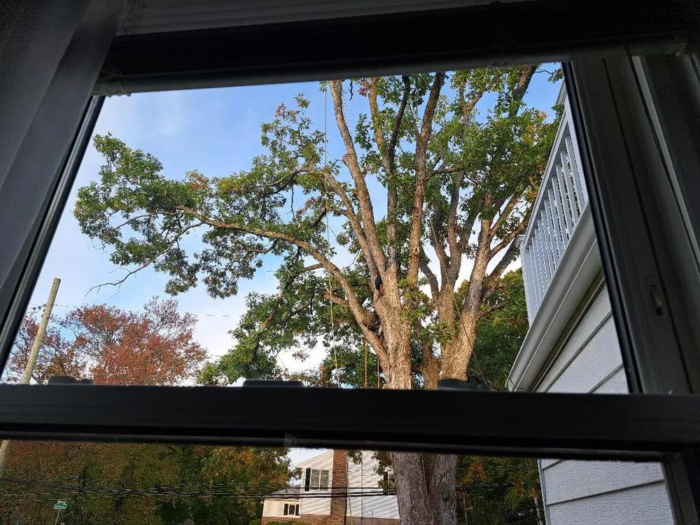 Trusted lawn care service for homes in Freeport, NY by Cross Island Tree & Land