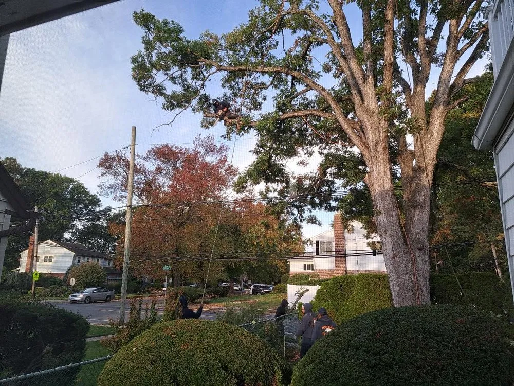 Trusted outdoor landscaping in Freeport, NY - Cross Island Tree & Land