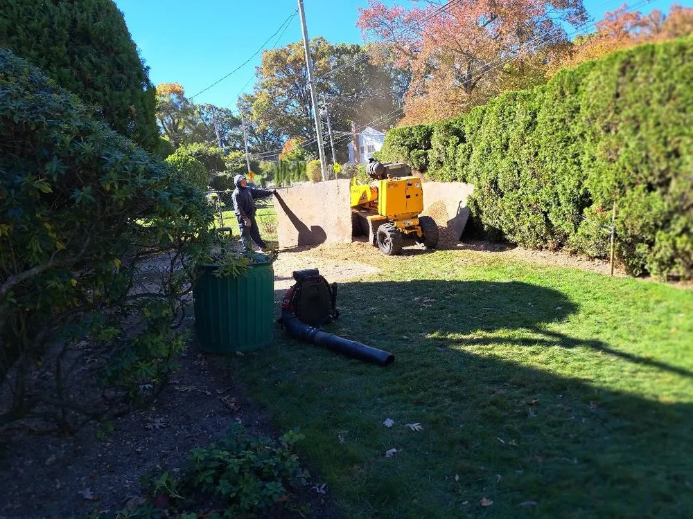 Reliable landscape design in Freeport, NY - Cross Island Tree & Land