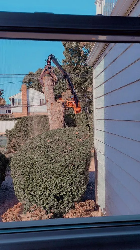 Local yard maintenance experts serving Freeport, NY - Cross Island Tree & Land