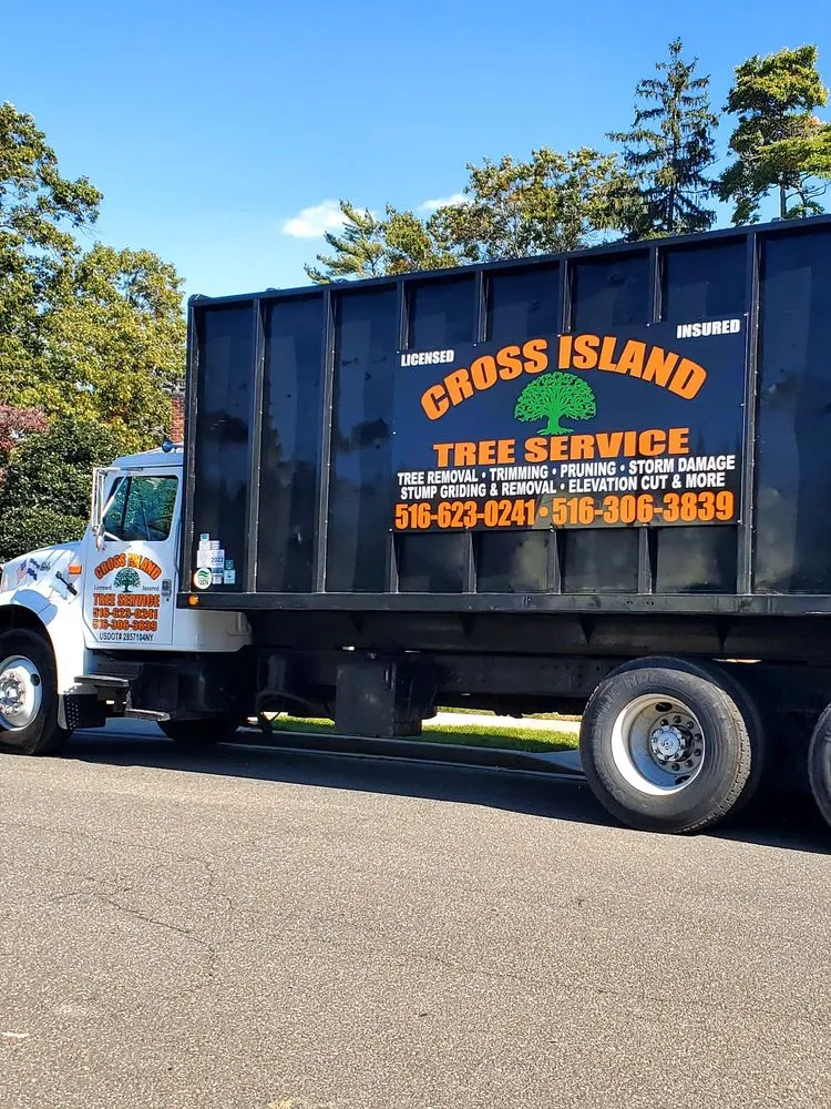Top-rated yard maintenance experts serving Freeport, NY - Cross Island Tree & Land