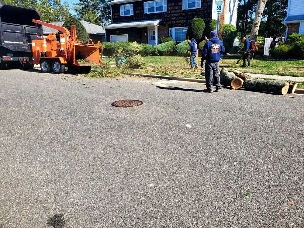 Reliable yard maintenance experts serving Freeport, NY - Cross Island Tree & Land