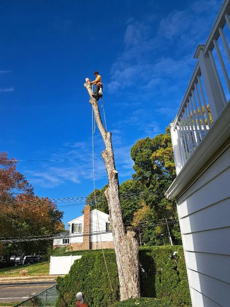 Custom landscaping services in Freeport, NY - Cross Island Tree & Land