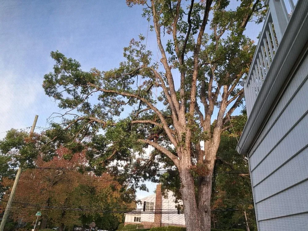 Trusted outdoor landscaping in Freeport, NY - Cross Island Tree & Land