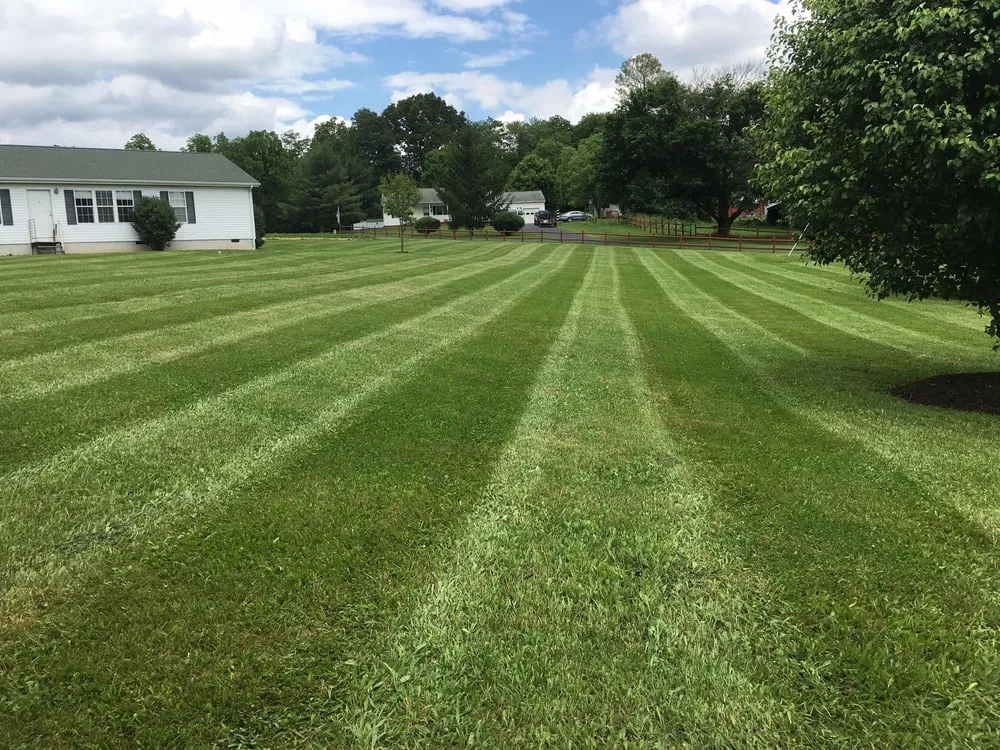 Professional yard cleanup service in Stuarts Draft, VA - Cross Patterns Lawn Care