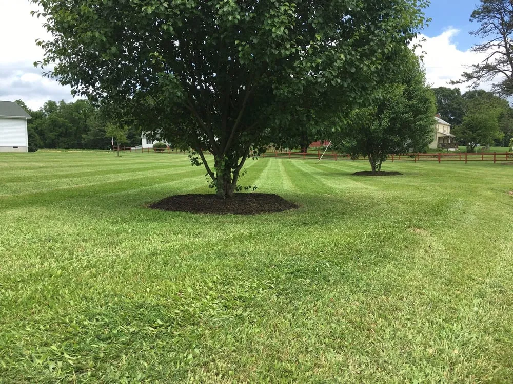 Expert landscaping services in Stuarts Draft, VA - Cross Patterns Lawn Care
