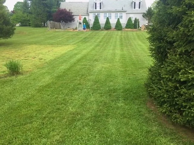 Top-rated yard cleanup service in Stuarts Draft, VA - Cross Patterns Lawn Care