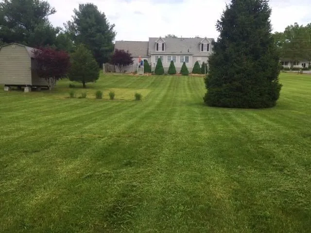 Trusted yard cleanup service near you in Stuarts Draft, VA by Cross Patterns Lawn Care