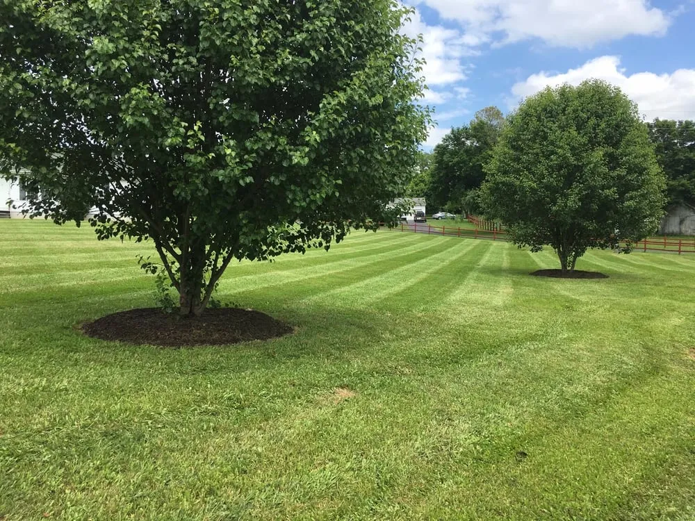 Professional residential landscaping experts serving Stuarts Draft, VA - Cross Patterns Lawn Care