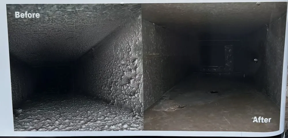 Reliable yard maintenance for outdoor upgrades across Star Valley, AZ - Cross Quality Services