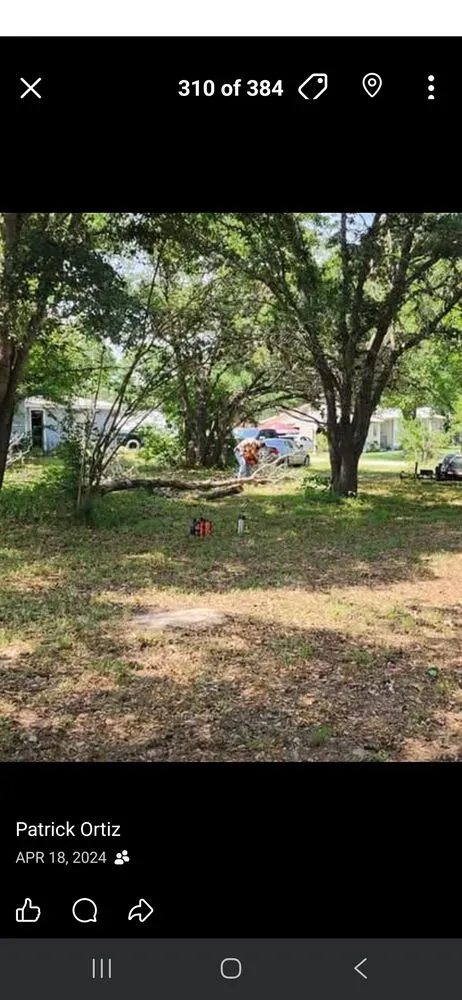 Reliable garden landscaping near you across Seguin, TX - Cross Roads Landscaping and Construction