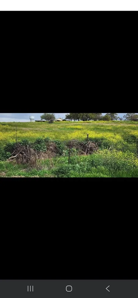 Custom yard cleanup service for outdoor upgrades across Seguin, TX - Cross Roads Landscaping and Construction