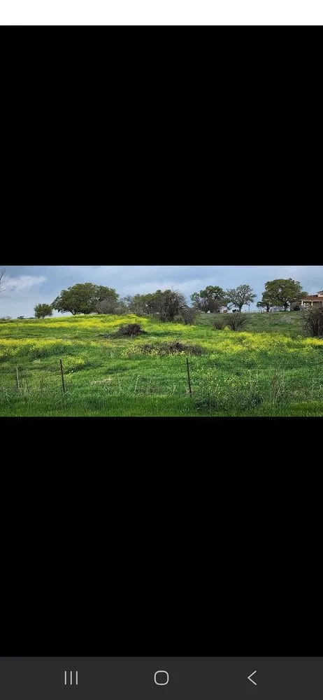 Top-rated outdoor landscaping in Seguin, TX by Cross Roads Landscaping and Construction