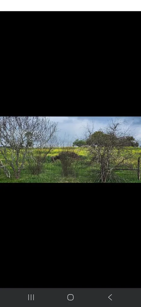 Affordable landscape design experts serving Seguin, TX - Cross Roads Landscaping and Construction