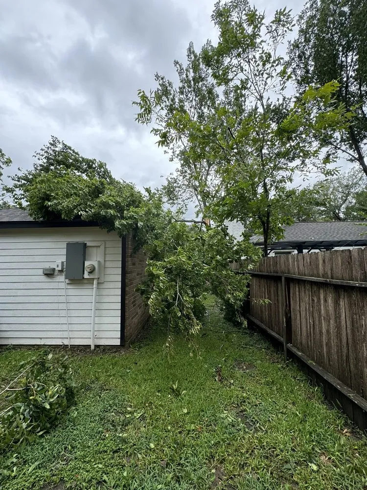 Custom landscape design for year-round maintenance across Houston, TX - Cross States Landscape