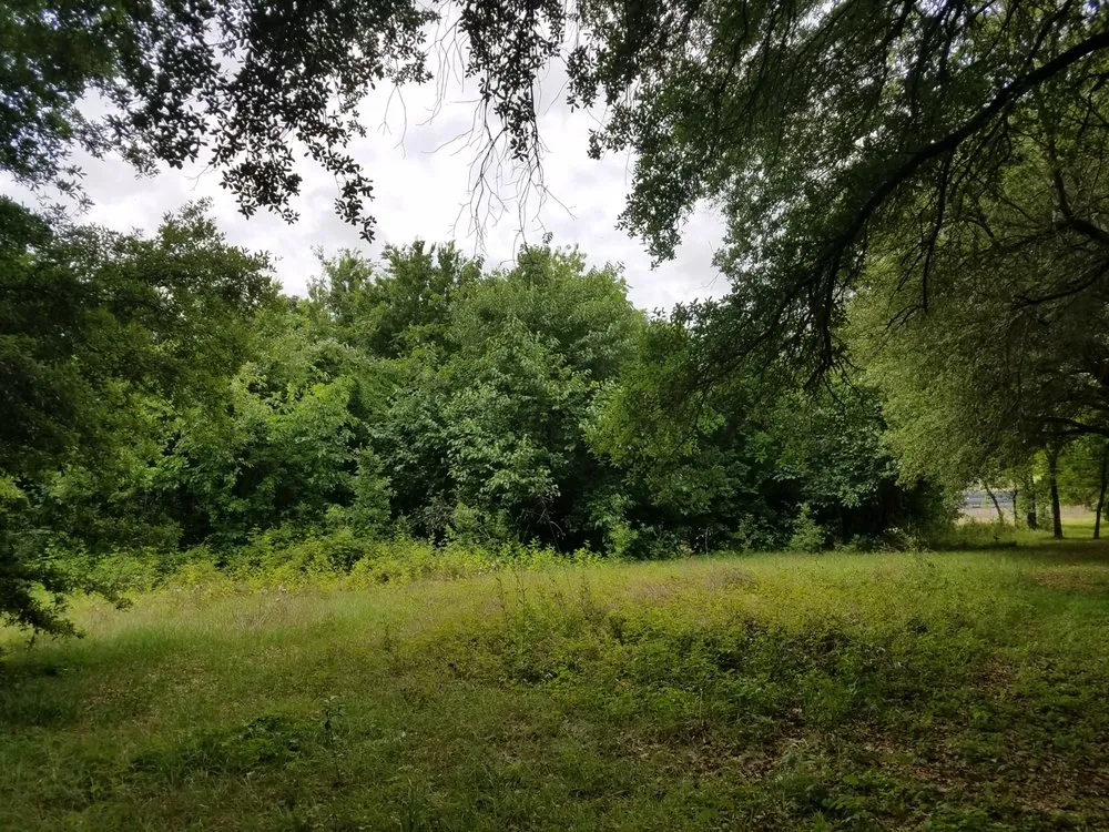 Reliable yard cleanup service for year-round maintenance in Houston, TX by Cross States Landscape