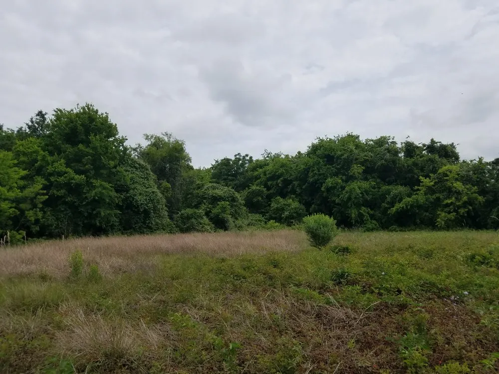 Custom landscape installation experts serving Houston, TX - Cross States Landscape