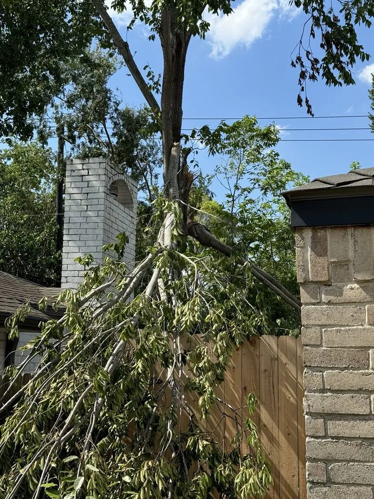 Reliable garden landscaping in Houston, TX by Cross States Landscape