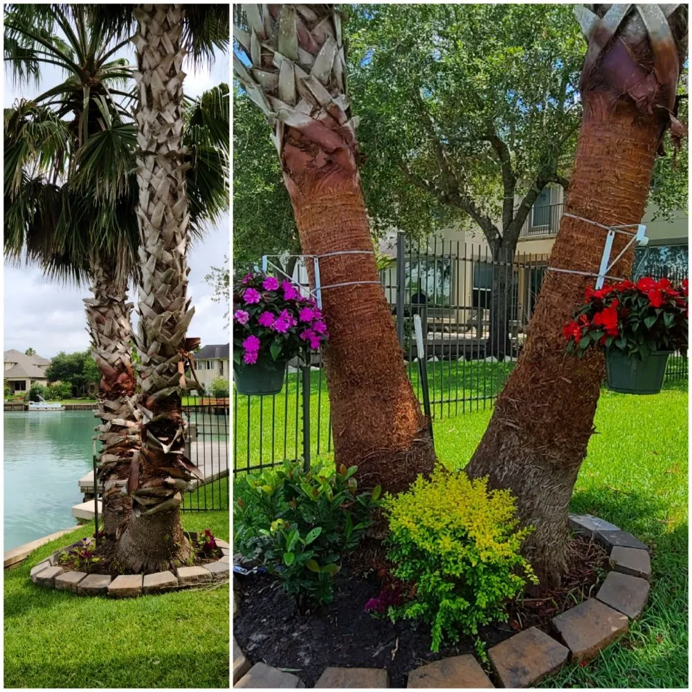 Top-rated lawn mowing service in Houston, TX by Cross States Landscape