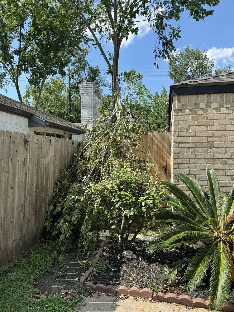 Professional lawn care service in Houston, TX - Cross States Landscape