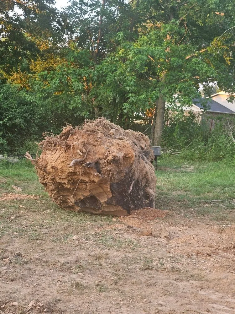 Local residential landscaping for homes across Springdale, AR - Cross T Home & Land