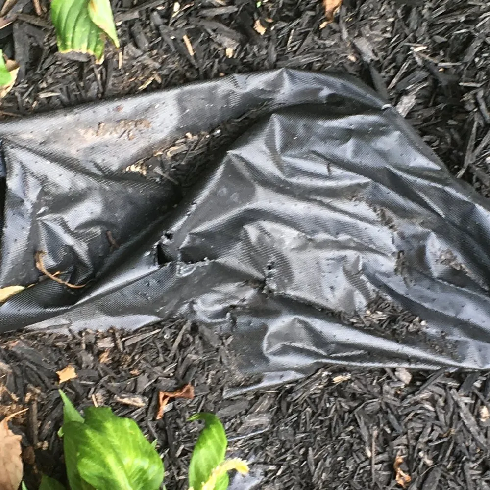 Professional outdoor landscaping near you across Piqua, OH - Cross Trail Landscape & Lawn Maintenance