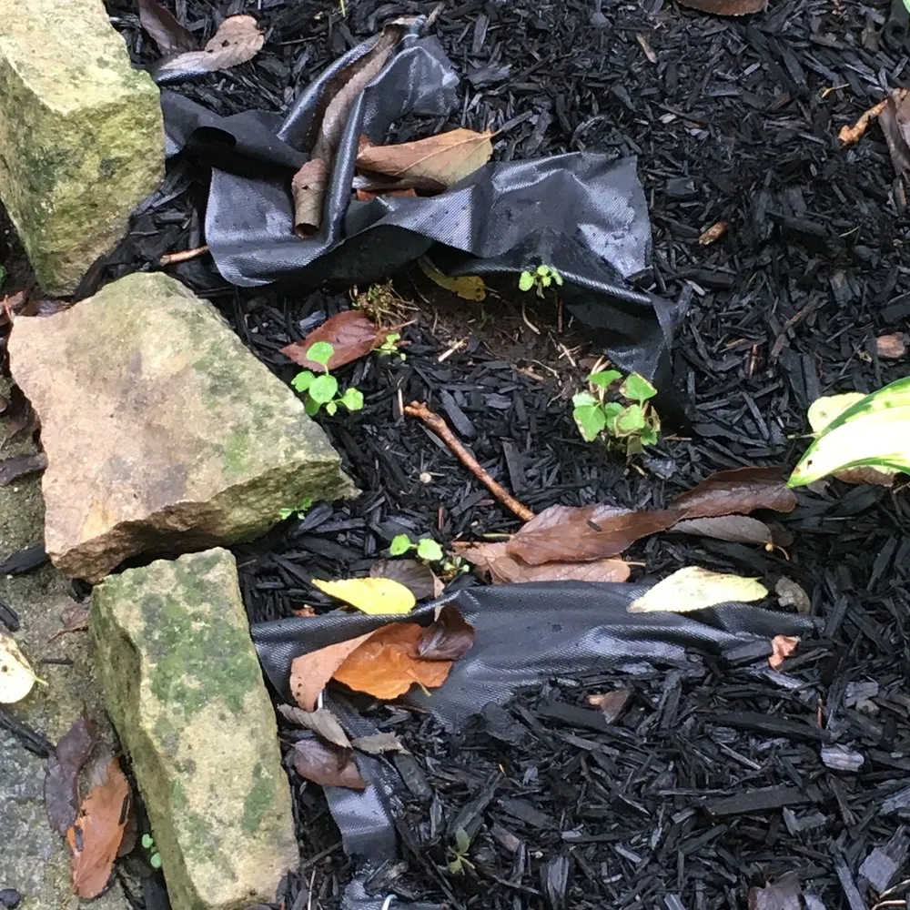 Professional residential landscaping with custom design across Piqua, OH - Cross Trail Landscape & Lawn Maintenance