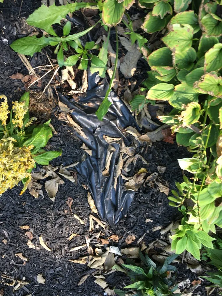 Custom lawn mowing service for residential properties across Piqua, OH - Cross Trail Landscape & Lawn Maintenance