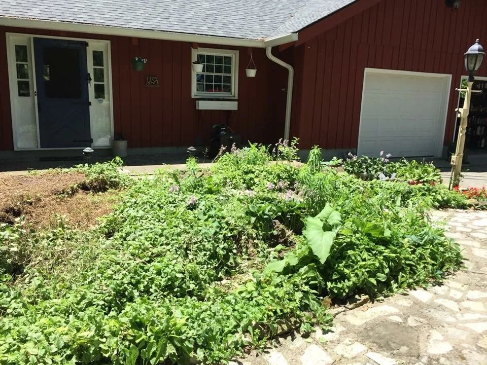 Professional lawn mowing service in Piqua, OH by Cross Trail Landscape & Lawn Maintenance