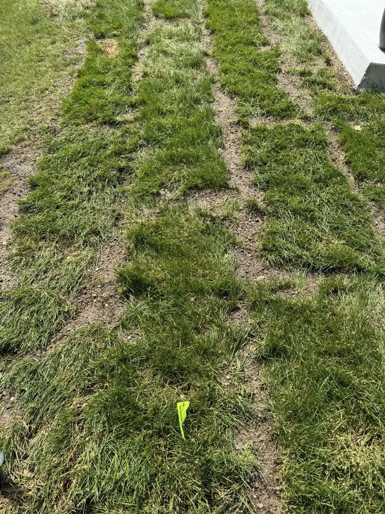 Local yard maintenance in Washington, MO by Crosscut Lawn Service