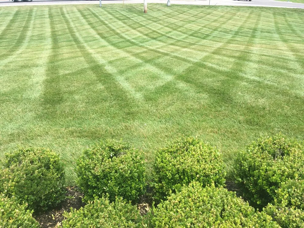 Custom yard maintenance in Washington, MO - Crosscut Lawn Service