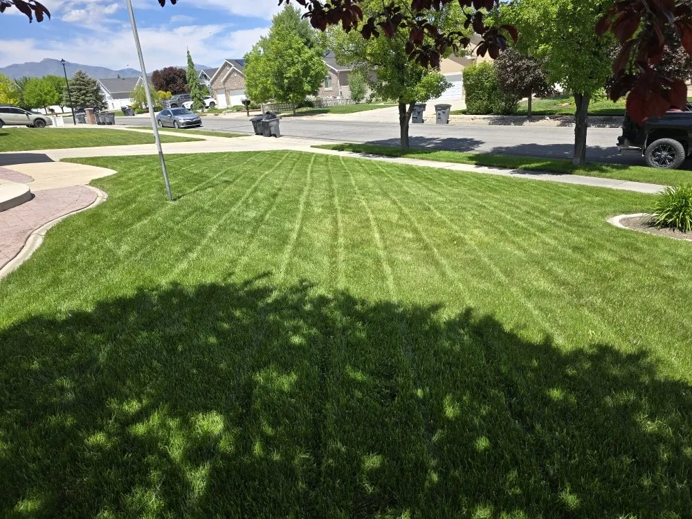 Top-rated yard cleanup service near you across Riverton, UT - Crosscut Lawns