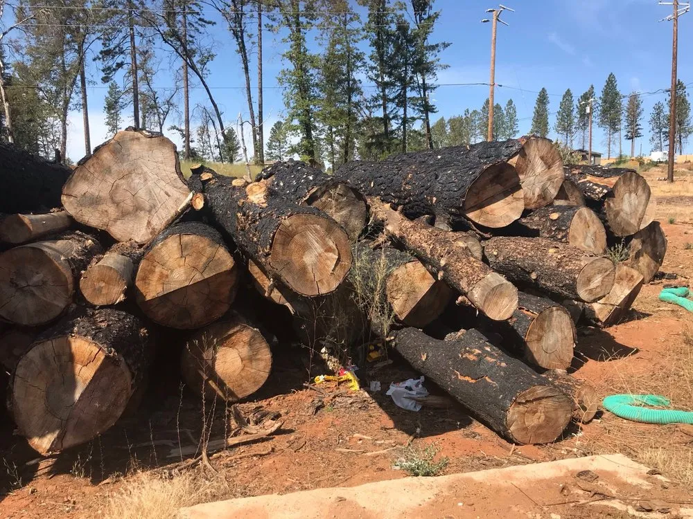 Reliable residential landscaping in Paradise, CA - Crossfire Tree & Vegetation Services