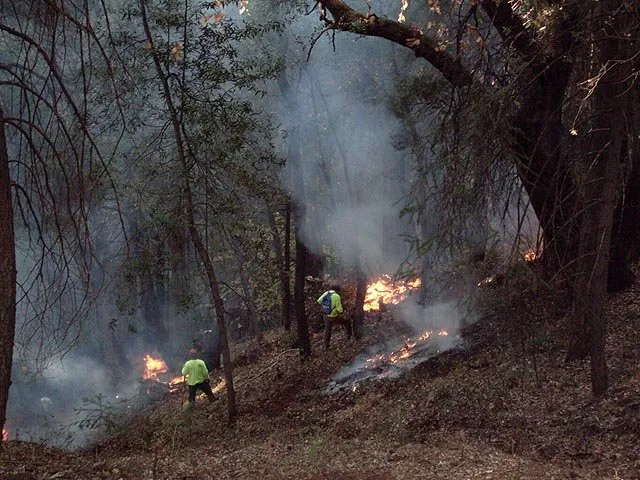 Reliable residential landscaping in Paradise, CA by Crossfire Tree & Vegetation Services