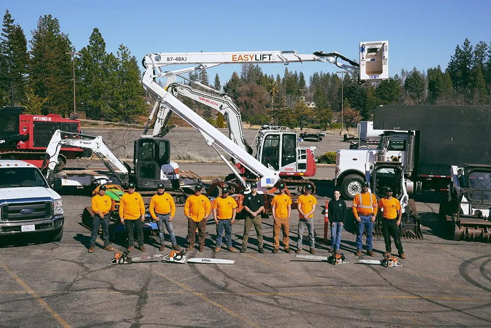 Top-rated lawn mowing service in Paradise, CA by Crossfire Tree & Vegetation Services