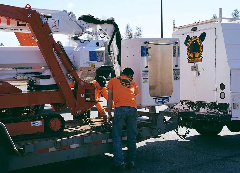 Local outdoor landscaping in Paradise, CA by Crossfire Tree & Vegetation Services