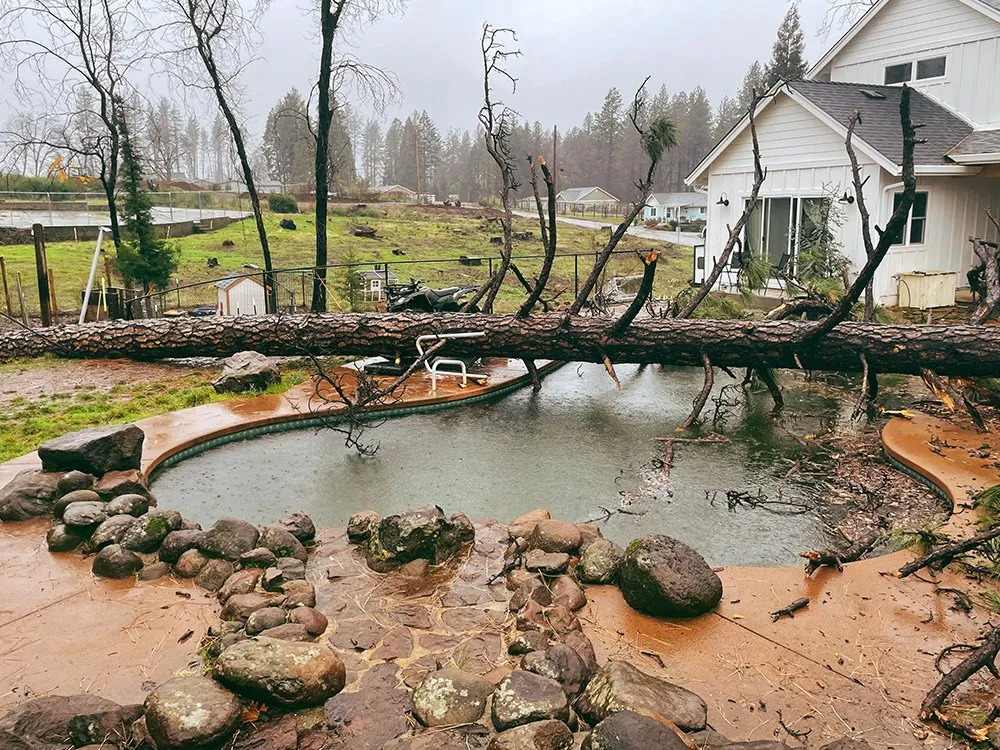 Reliable landscaping services experts serving Paradise, CA - Crossfire Tree & Vegetation Services