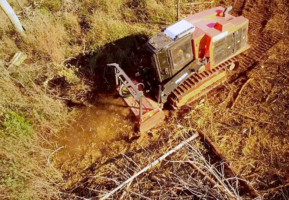 Expert landscaping services for homes across Paradise, CA - Crossfire Tree & Vegetation Services