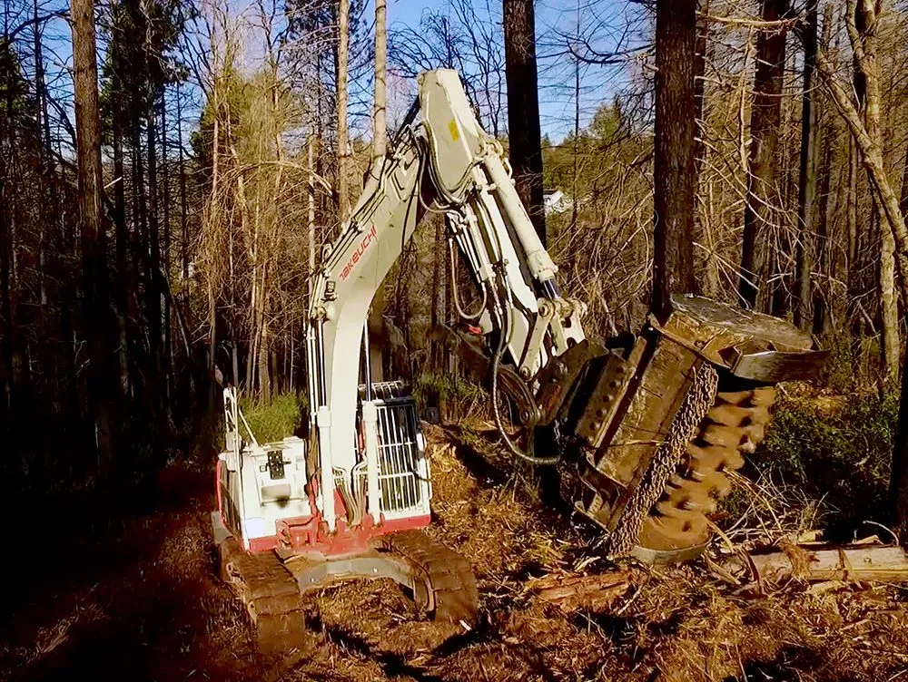 Top-rated landscape design in Paradise, CA - Crossfire Tree & Vegetation Services