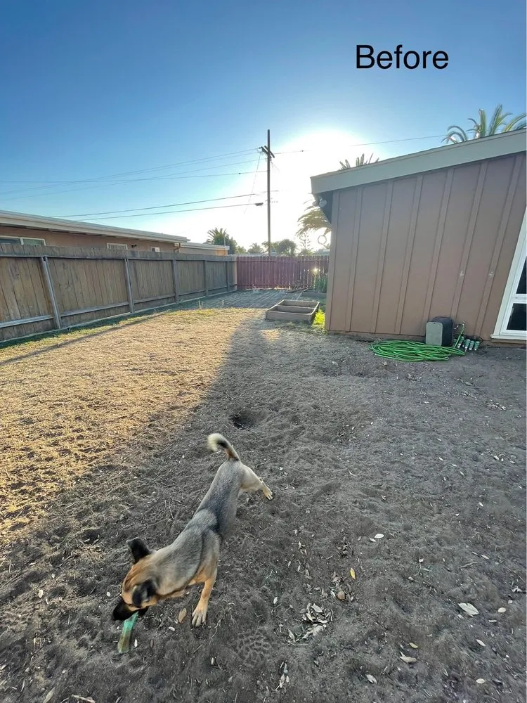 Expert garden landscaping in Santee, CA by Crossman Landscape