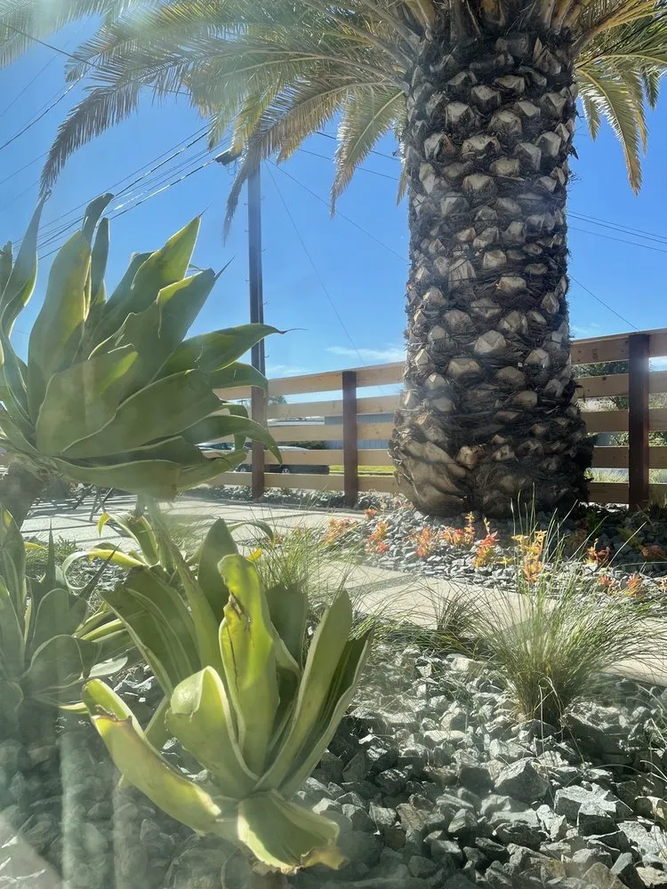 Expert landscape installation experts serving Santee, CA - Crossman Landscape