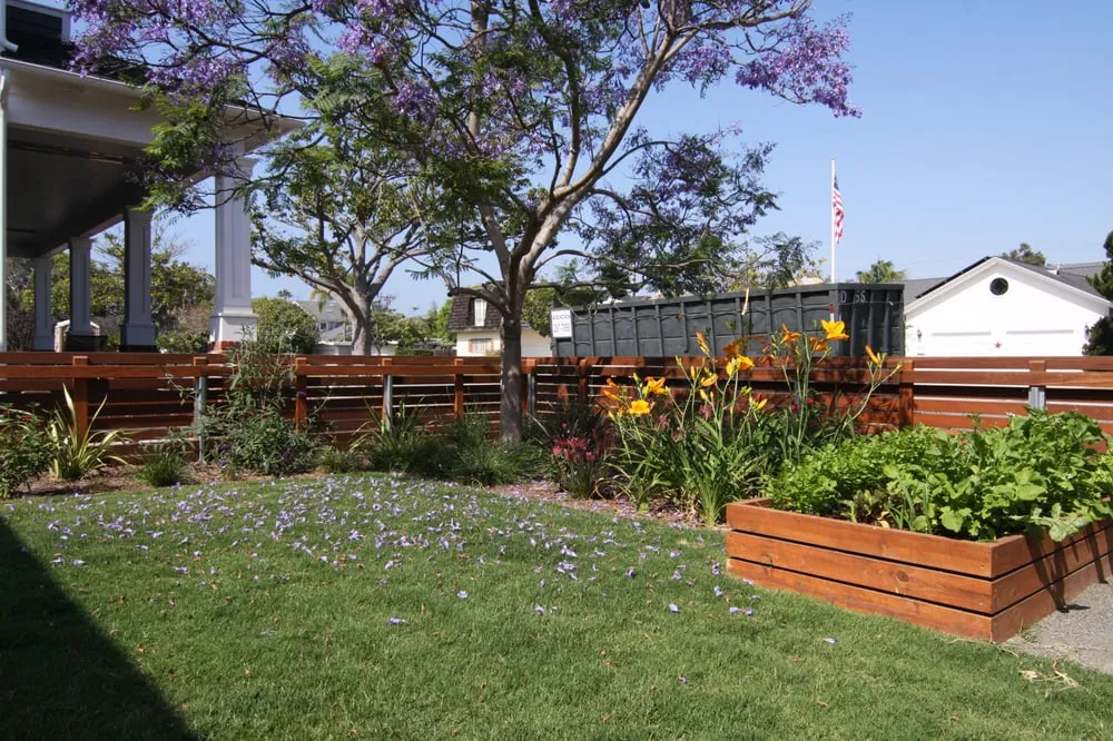 Affordable yard cleanup service in Santee, CA - Crossman Landscape