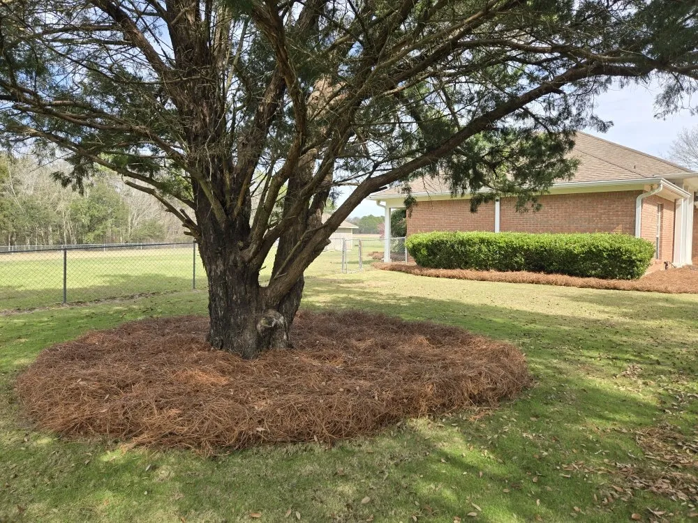 Reliable residential landscaping in Foley, AL - Crossover Lawn Care